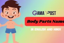 body parts name