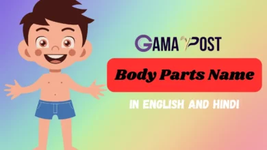 body parts name