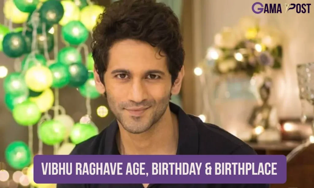 Vibhu Raghave Age, Birthday & Birthplace